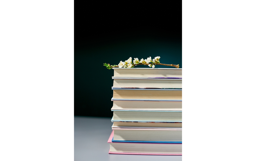 An aesthetic photo of a stack of books with a sprig of flowers | Skylum How-to