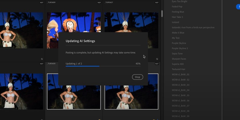Applying a preset to selected photos in Lightroom | Skylum Blog