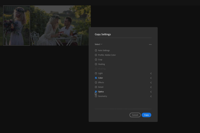 Copying an edit in Lightroom | Skylum Blog