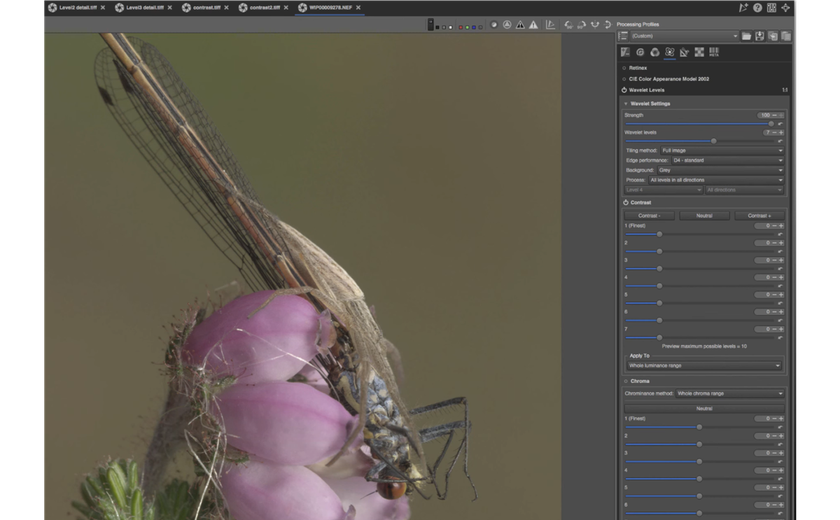 Advanced Wavelets tool in RawTherapee | Skylum Blog