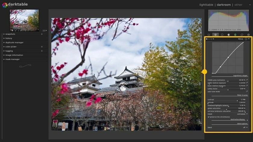 Filmic RGB module in Darktable | Skylum Blog