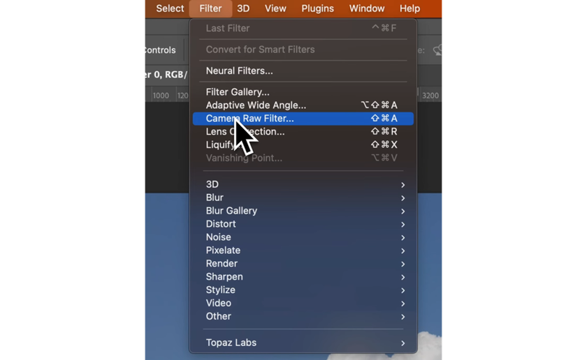 Camera Raw Filter in Photoshop | Skylum How-to