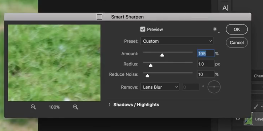 Smart Sharpen filter in Photoshop | Skylum How-to