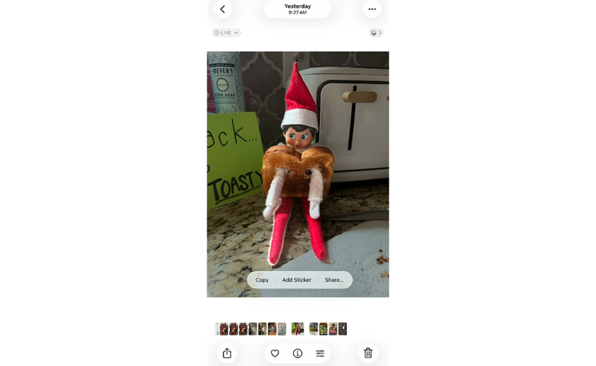 Selecting an object from a photo on iPhone for a sticker | Skylum How-to