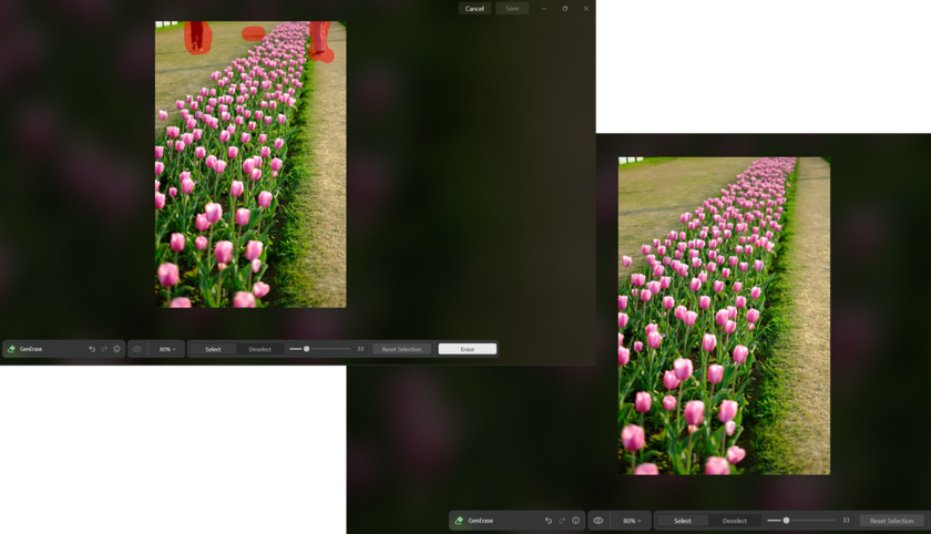 GenErase in Luminar Neo | Skylum Blog