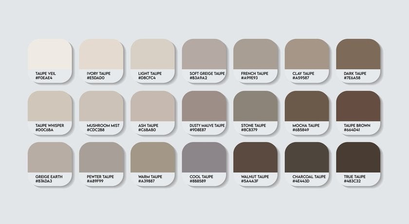 Taupe shade palette | Skylum Blog