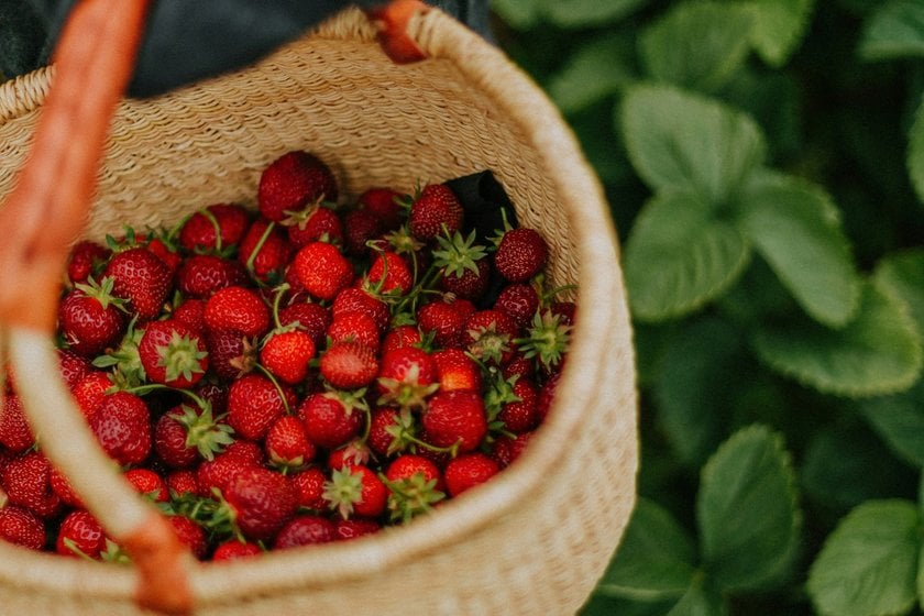Top Food Photography Tricks: Beginner Tips & Expert Techniques | Skylum Blog(8)