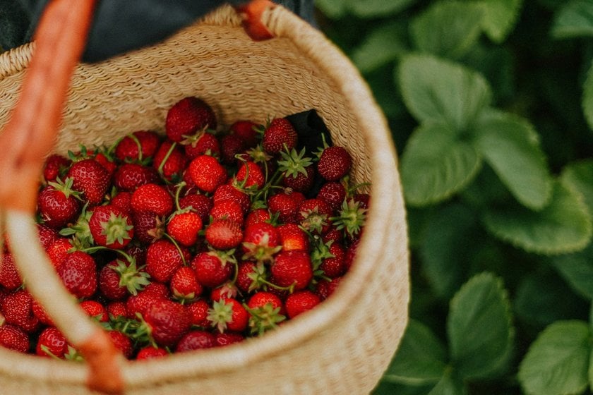 Top Food Photography Tricks: Beginner Tips & Expert Techniques | Skylum Blog(7)