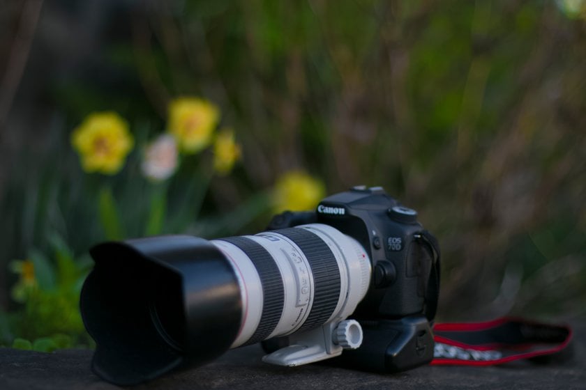 Nikon vs Canon: Which is best & Why?
