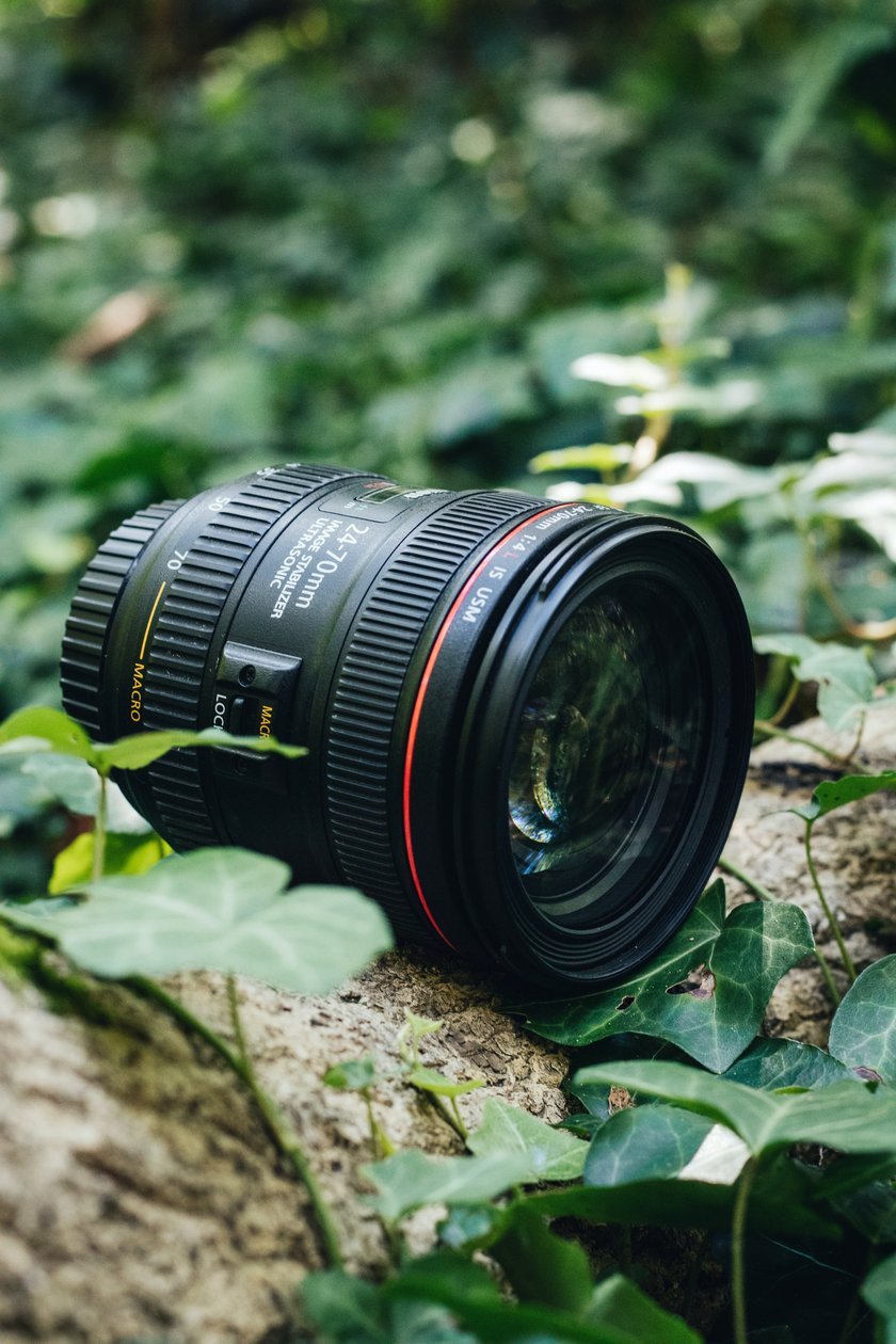 10 the Best Canon Lenses in 2024 | Skylum Blog(10)