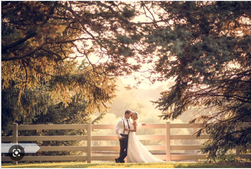 20 Best Free Lightroom Wedding Presets | Skylum Blog(3)