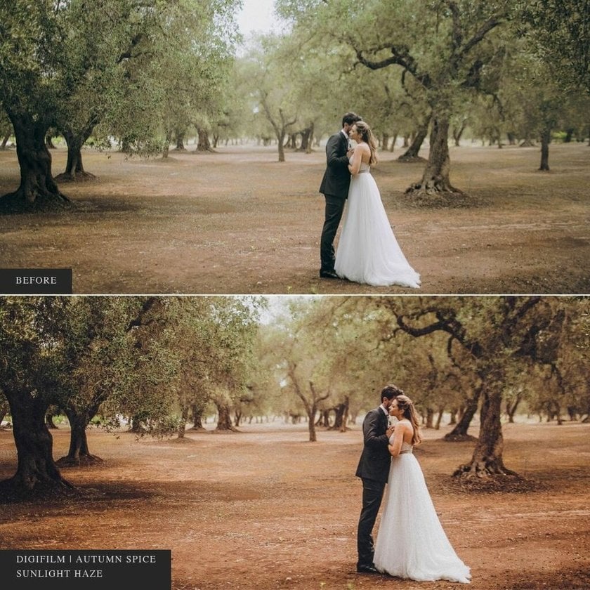 20 Best Free Lightroom Wedding Presets | Skylum Blog(21)