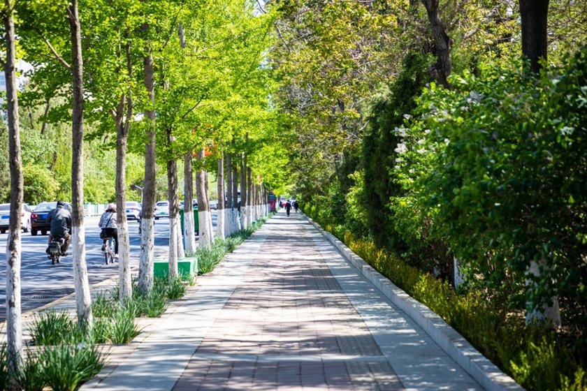 Sidewalk near the road | Skylum Blog