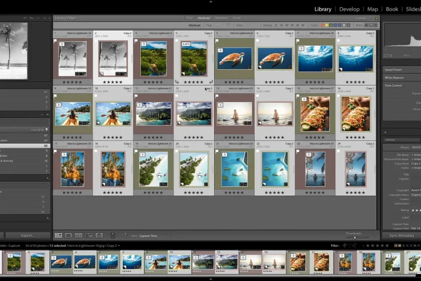 Batch Editing in Lightroom: Streamline Your Workflow and Enhance Efficiency | Skylum Bog | Skylum Blog(3)