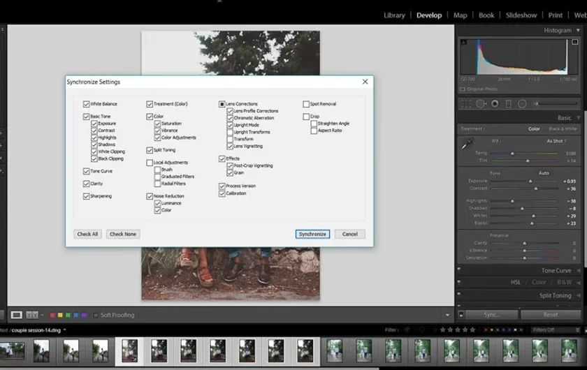Batch Editing in Lightroom: Streamline Your Workflow and Enhance Efficiency | Skylum Bog(5)