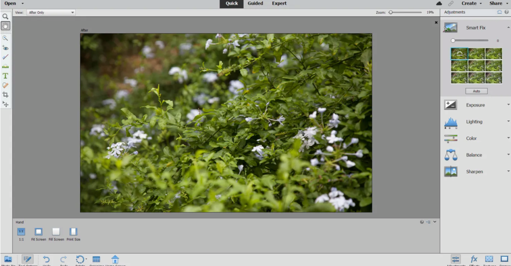 Adobe Photoshop Elements vs Photoshop: What Is The Best For You?