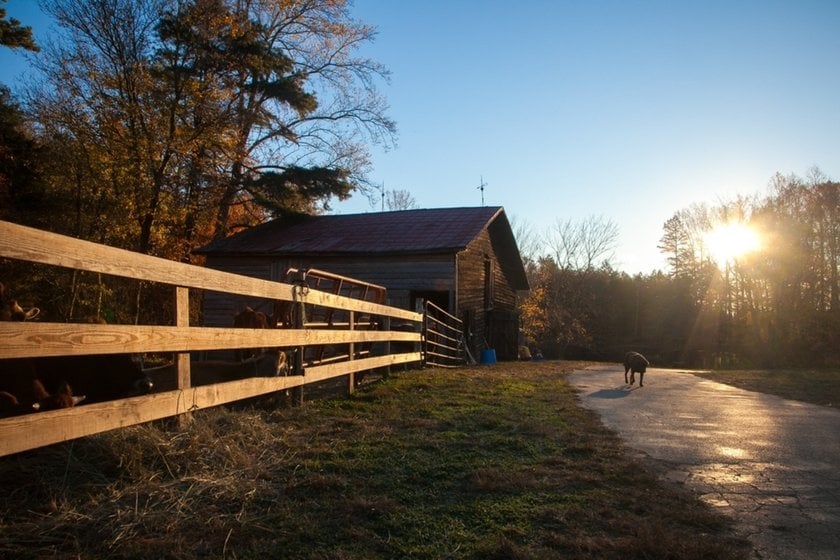 Fence with a barn at golden hour | Skylum Blog