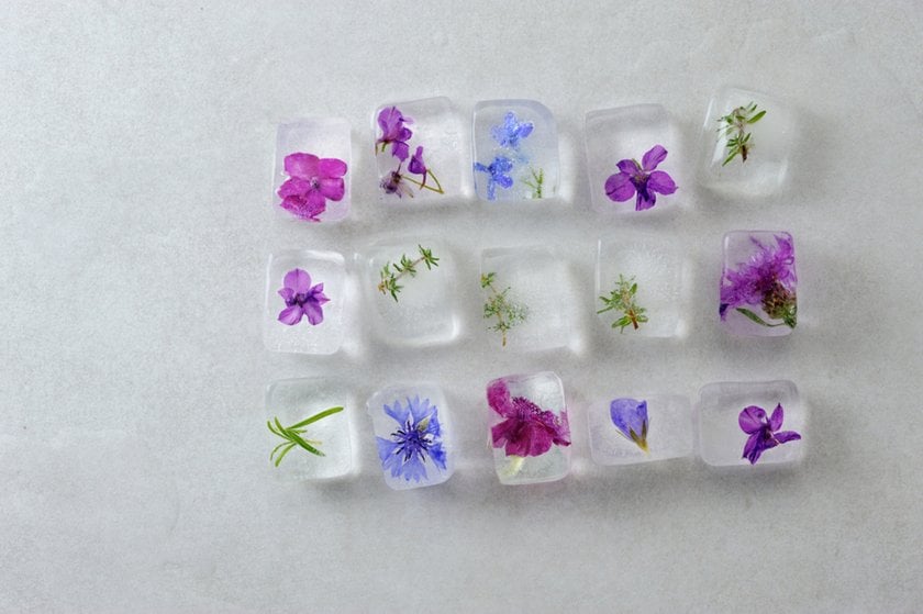 Flowers frozen in ice cubes | Skylum Blog