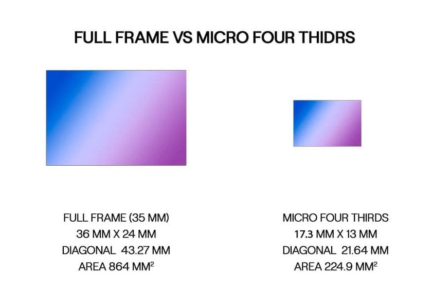 Micro Four Thirds vs Full Frame: Dueling Formats | Skylum Blog(8)