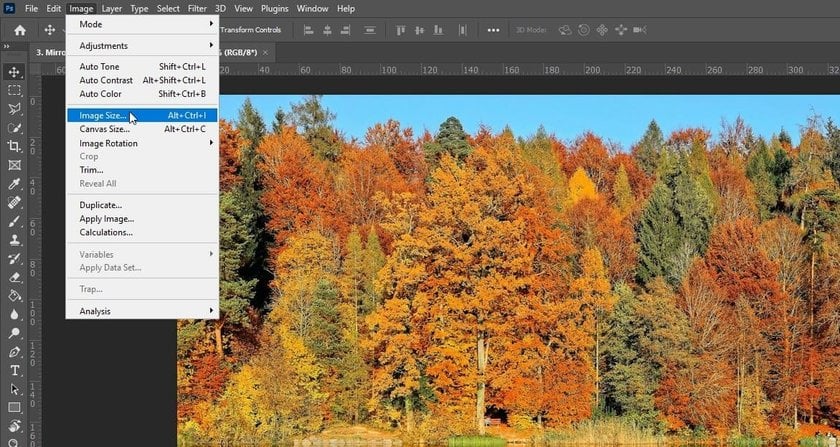 How to View the Size of a Photo in a Program | Skylum Blog