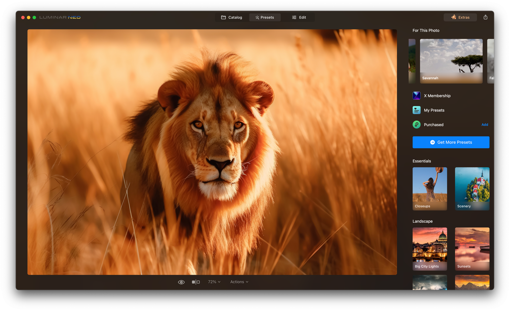 color-temperature-photography-definition-what-it-is-and-how-to-use-it