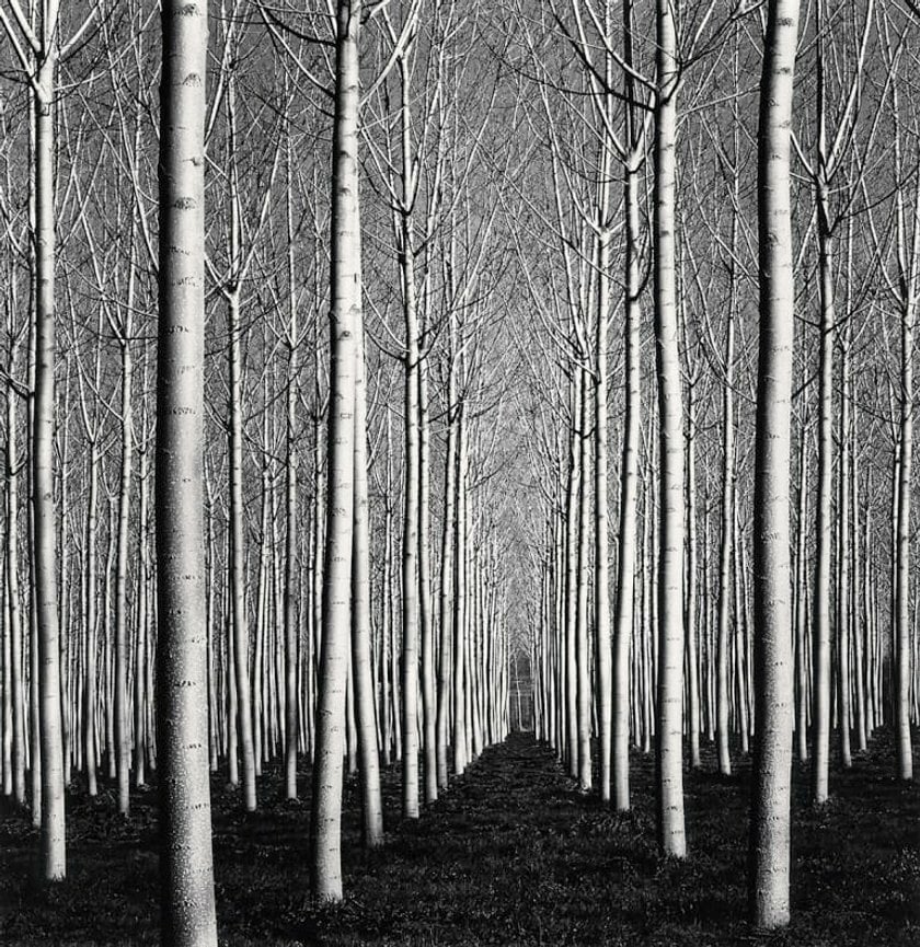 Curved Lines In Photography For Dynamic Pics | Skylum Blog(16)