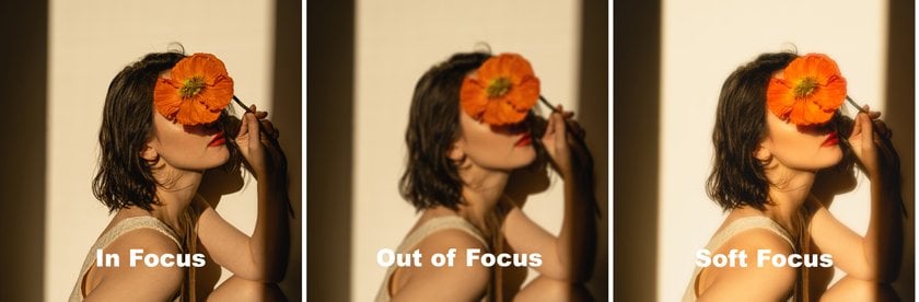 Soft Focus Shot: The Art of Blurring the Lines | Skylum Blog(3)