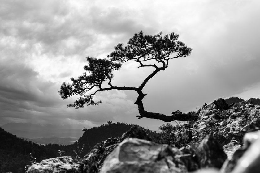 Mastering the Art of Contrast in Black and White Photography I Skylum Blog(6)