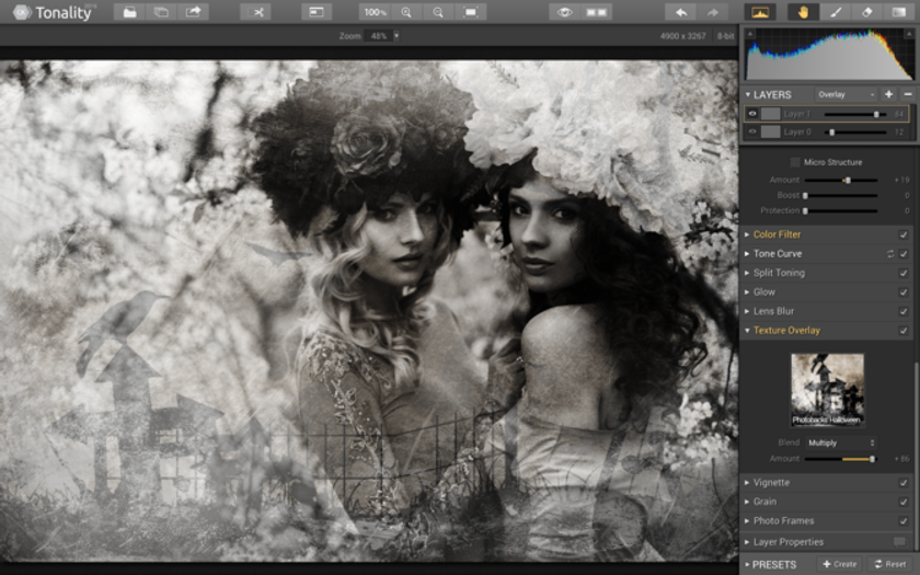 Free Halloween Photography Textures. Don't miss out.  | Skylum Blog(2)