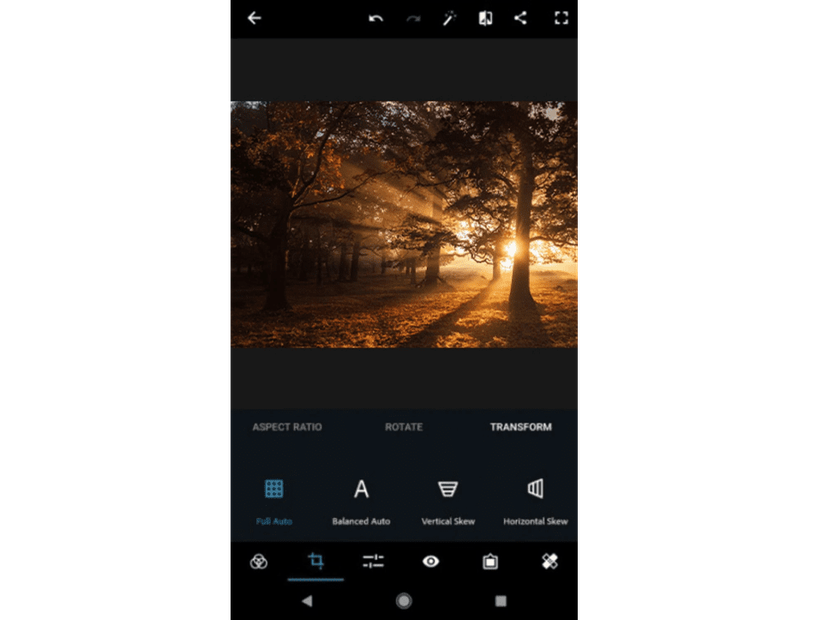 Best Free Picture Cropping Apps For Mobile Editing  | Skylum Blog(4)