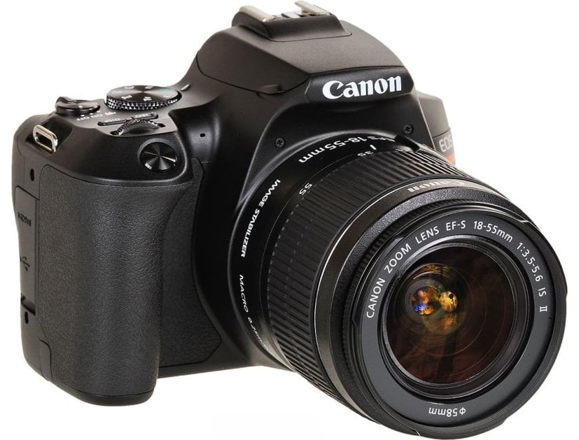 Photo of the Canon EOS Rebel SL3 / EOS 250D Camera | Skylum Blog