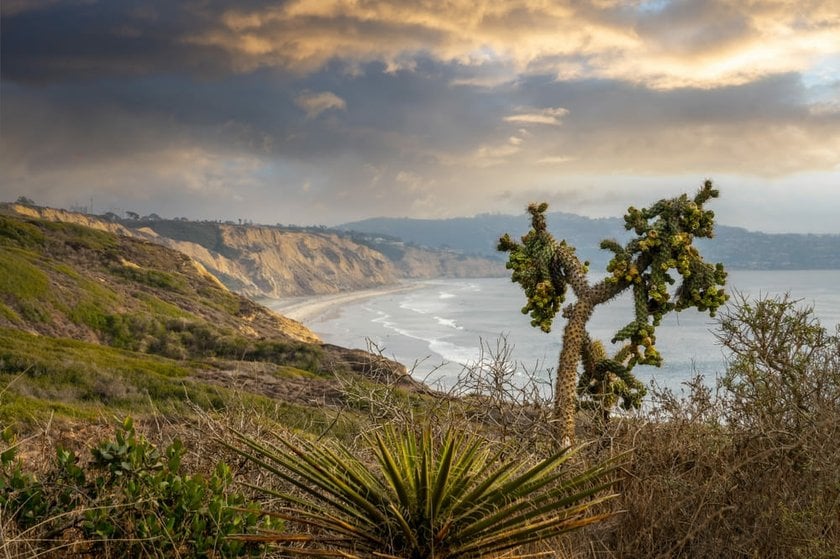  Beautiful Image of Torrey Pines State Reserve| Skylum Blog