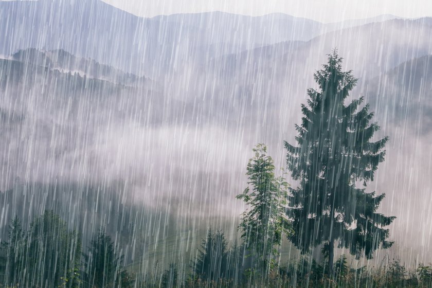Landscape Photography In The Rain: A Visual Symphony Through The Lens I Skylum | Skylum Blog(3)