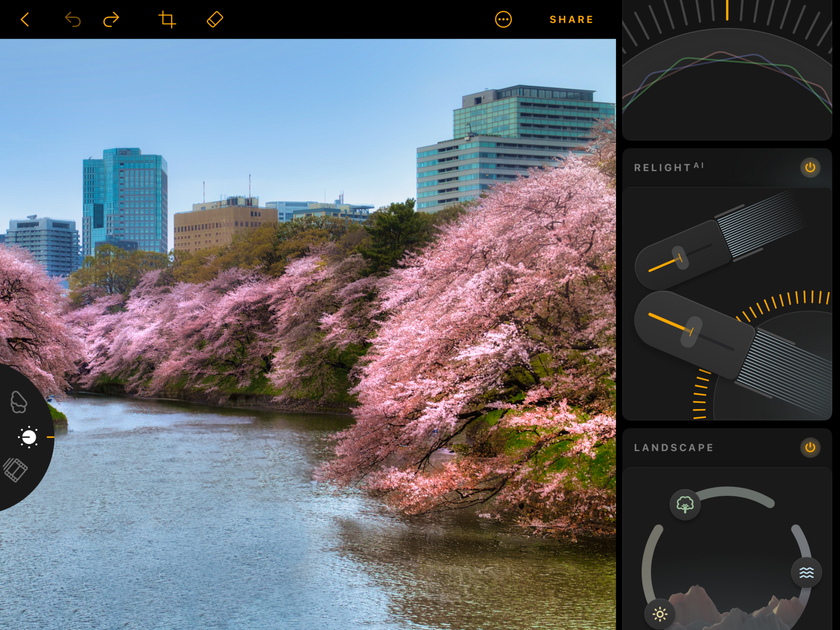 Japan Cherry Blossom Festival 2024: A Detailed Guide | Skylum Blog(9)