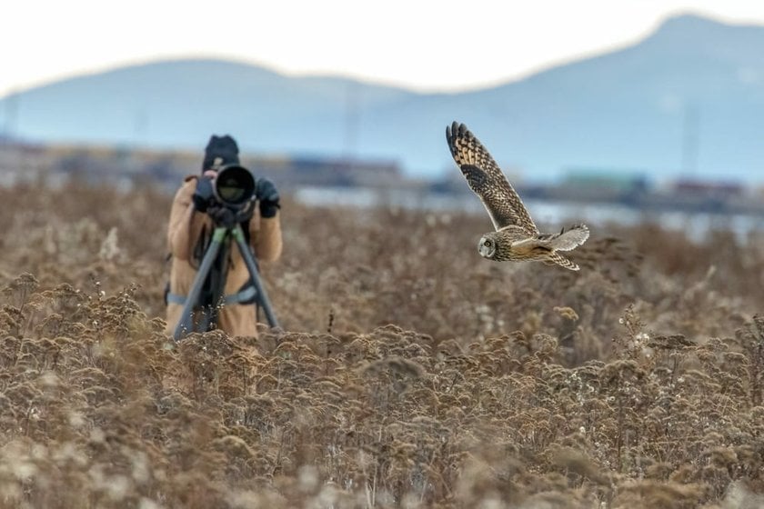 Bird Photography Lenses: Top 5 Lens Picks | Skylum Blog(2)