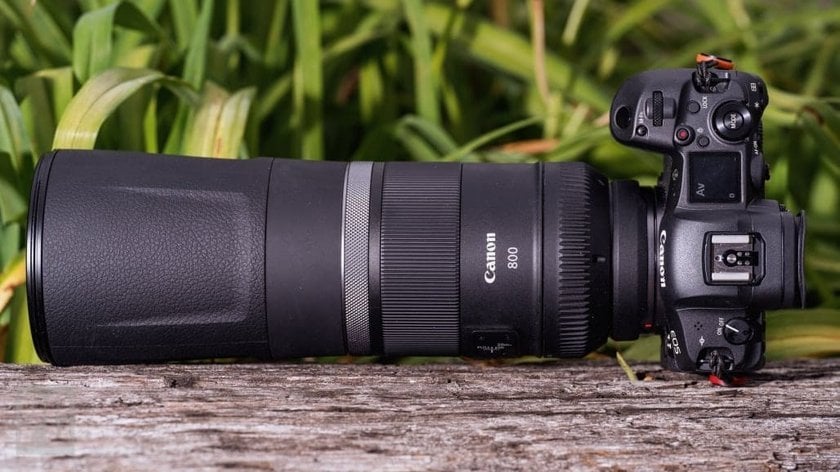 Bird Photography Lenses: Top 5 Lens Picks | Skylum Blog(4)