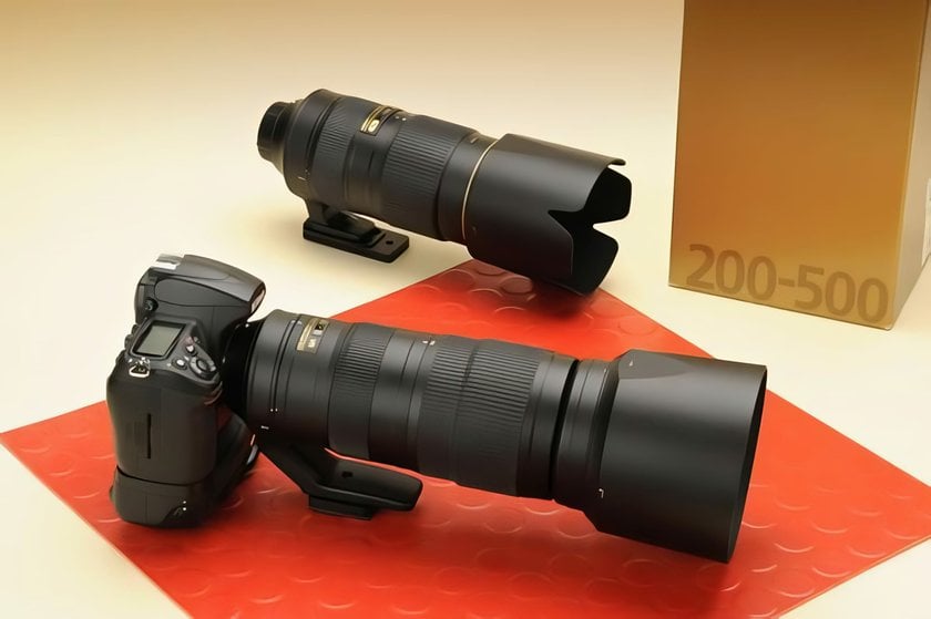 Bird Photography Lenses: Top 5 Lens Picks | Skylum Blog(6)