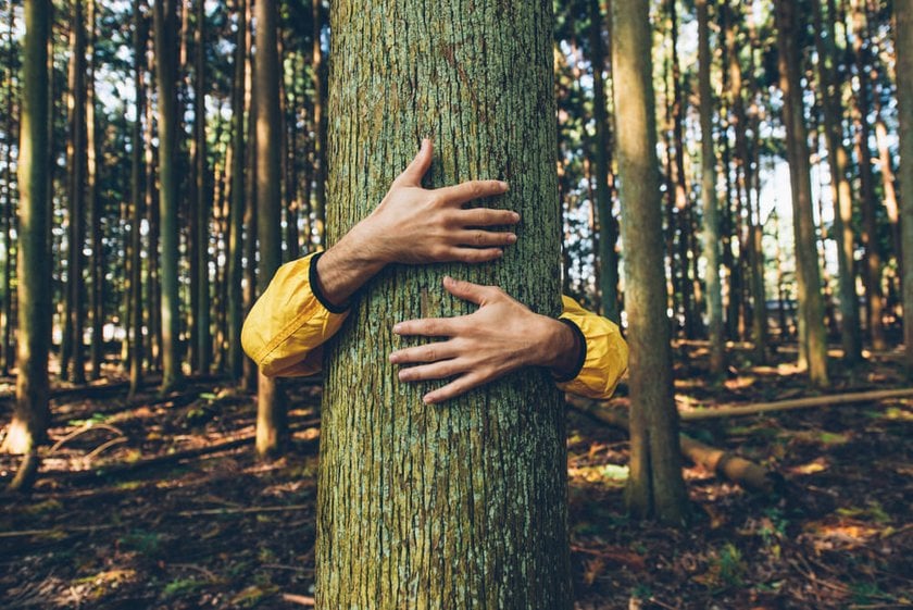 Man Hugging a Tree as a Symbol of Protecting the Planet | Skylum Blog