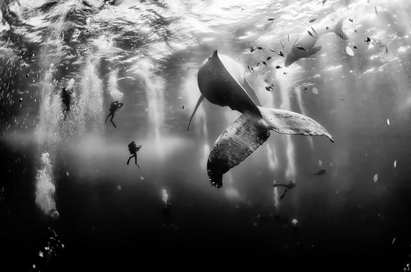 The 50 most amazing photos and videos of the oceans | Skylum Blog(5)