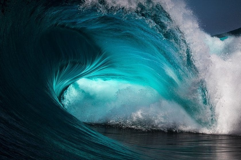 The 50 most amazing photos and videos of the oceans(15)
