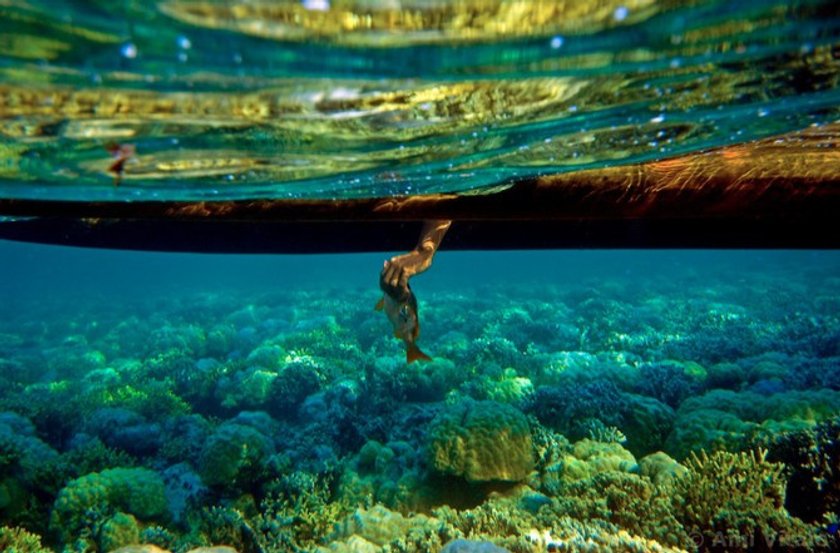 The 50 most amazing photos and videos of the oceans | Skylum Blog(28)