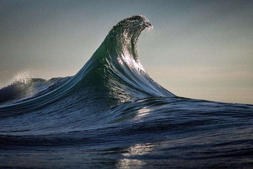 The 50 most amazing photos and videos of the oceans(30)