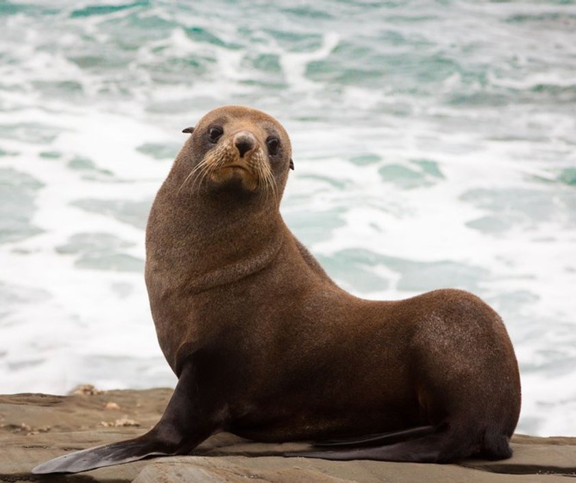 The 50 most amazing photos and videos of the oceans | Skylum Blog(44)