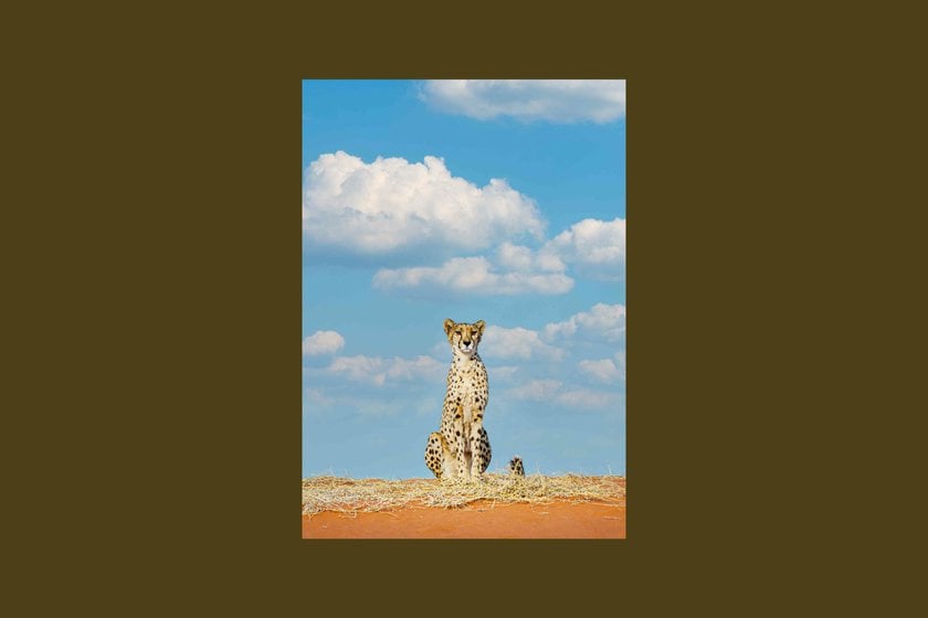 4x6 Picture Size: Everything You Need To Know | Skylum Blog(8)