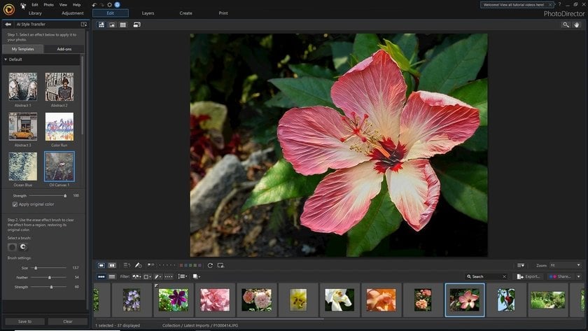 Best Free Photo Editor 2025: Top 10 Hand-picked List | Skylum Blog(10)