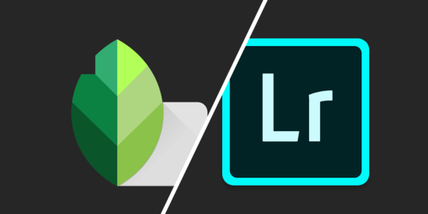 Snapseed Vs Lightroom  | Skylum Blog