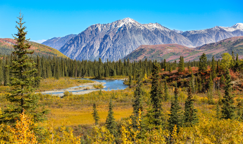 Denali National Park | Skylum Blog