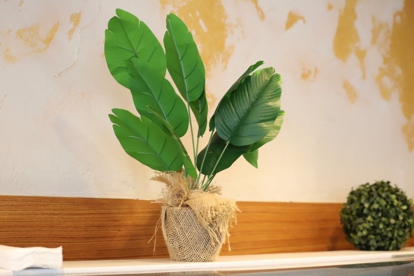 Object photo of a flower | Skylum Blog