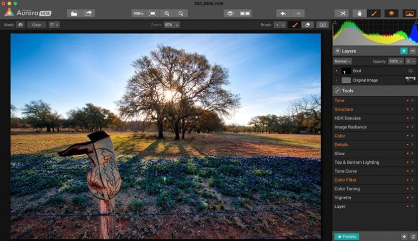 Blooming season: Capturing Spring’s Spirit Image8