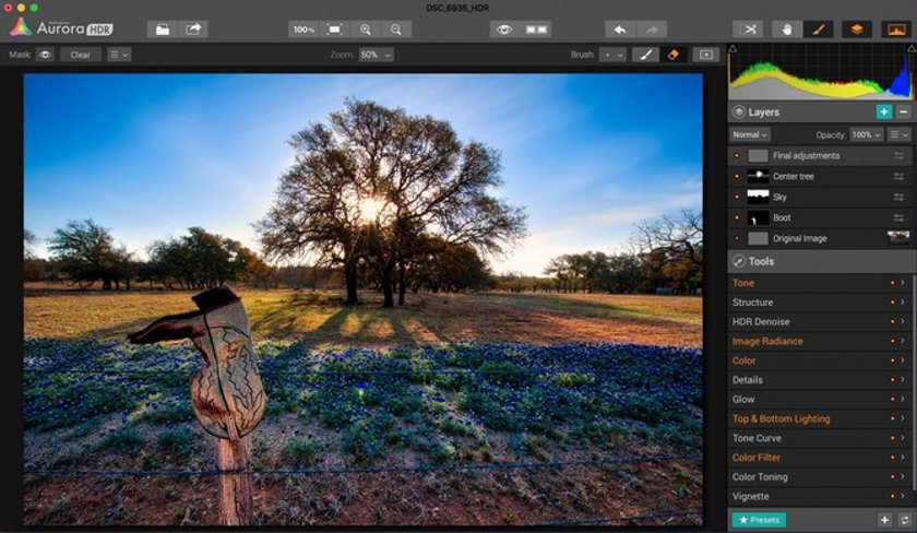 Blooming season: Capturing Spring’s Spirit Image13